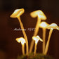 Mushroom Specimen Fairycore Cottagecore Light