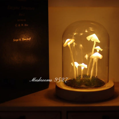 Mushroom Specimen Fairycore Cottagecore Light