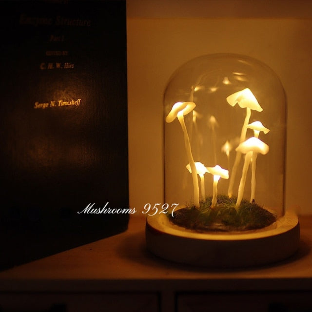 Mushroom Specimen Fairycore Cottagecore Light